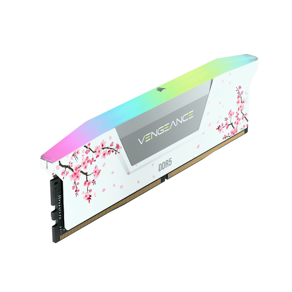RAM_Angled_View_SIDEPLATE_KATANA_body1_2.002-DDR5_White_Cherry_Blossom
